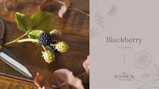 Blackberry Tutorial (Gumpaste / Flower Paste)