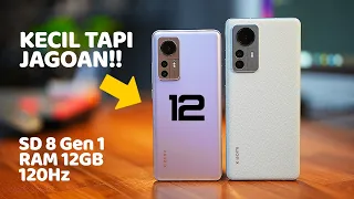 Kecil2x Rawit 🤯🌶 XIAOMI 12 Tes Game & Kamera 🎮 📸