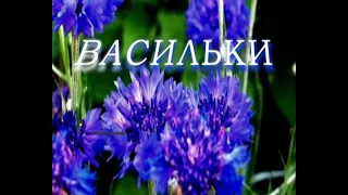 "Еще раз про любовь" - от Братьев Радченко