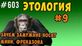 Что такое френдзона и зачем замужние женщины красятся и носят мини