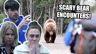 BRITISH FAMILY REACTS! 5 Unexpected Bear Encounters Caught On Camera!