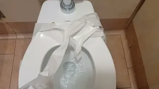 Toto Toilet TP Test At Sam's Club