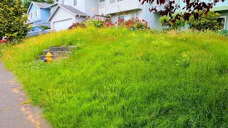 Couple was PHYSICALLY unable to MOW their yard... OVERGROWN Lawn Transformation! #satisfying