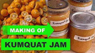 Making Kumquat Jam: Fruit & Sugar only (no pectin added).