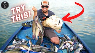 Catch THOUSANDS of CATFISH Using ONLY BUCKETS!