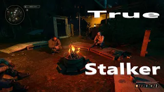 ☃S.T.A.L.K.E.R 🎄TRUE STALKER❄ИДЁМ В НОВОШЕПЕЛИЧИ⚡№9🎄