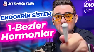 Endokrin Sistem-1 Bezler ve Hormonlar | Ayt Biyoloji Konu Anlatımı 11. Sınıf | 2024