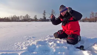 ЛОВЛЯ ЩУКИ на ЖЕРЛИЦЫ! Рыбалка на Лесном озере у деревни