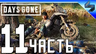 DAYS GONE (Жизнь После) Прохождение ➤ Часть 11 На Русском ➤ PS4 Pro [1080p 60FPS]