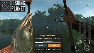 Fishing Planet - Saint-Croix Lake Unique Muskie,  Clear Muskie, Tiger Muskie & Unique Northern Pike