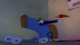 The Reckless Driver | Woody the Woodpecker | Cartoons for Kids | WildBrain Bananas