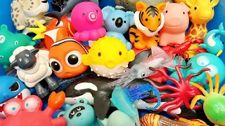 Learn Sea Animal Names and Facts I Sea Animals and Wild Zoo Facts For Kids I Animals For Kids