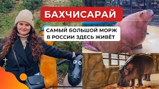 В Крыму есть пингвины, морж, бегемот? Бахчисарайский парк миниатюр