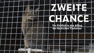 Zweite Chance – Ein Einblick in den Alltag der deutschen Tierheime