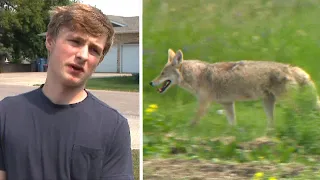 This Winnipeg teen saved a boy being mauled by a coyote