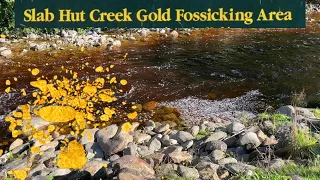 Finding Big Gold at Slab Hut Creek public fossicking site!