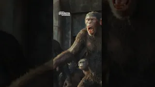 Il Regno del Pianeta delle Scimmie | Ora al Cinema #Shorts #IlRegnoDelPianetaDelleScimmie