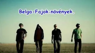 Belga-Fajok,növények