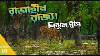 সোনার বাংলায় সুন্দর এক নিঝুম দ্বীপ || কিভাবে যাবেন? A TO Z || হাতিয়া|| Noakhali EPISODE 1