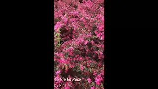 La Vie En Rose - Edith Piaf (Cover) | Rina Marapao