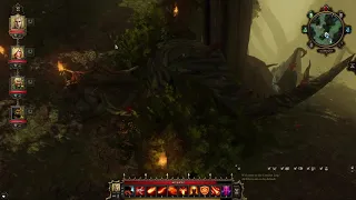 Divinity Original Sin EE Phantom Forest - How to Kill Cassandra