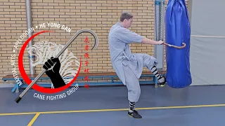 Cane Fighting: Thrust - 2 Diagonal Strikes - Hit & Kick - Martial Arts