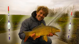 VISSEN IN QUARANTAINE - KARPERS VANGEN MET DE PEN!