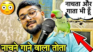 गाना भी गाता है ये तोता  बोलता भी है| #talkingparrot #bolnewalatota #animallover #petslover #birds