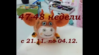 47-48 недели 2021г (с 21.11. по 04.12.)