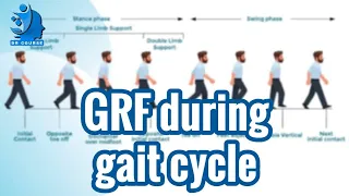 Ground reaction force during gait | شرح | #biomechanics #Dr_Amr_mousa