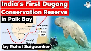 Tamil Nadu to set up India’s first Dugong Conservation Reserve in Palk Bay | TNPSC UPSC Exams