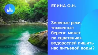 Ерина О.Н. Зеленые реки, токсичные берега: может ли «цветение» водорослей лишить нас питьевой воды?