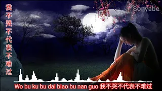 Wo bu ku bu dai biao bu nan guo 我不哭不代表不难过 Xiao Tian