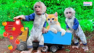 Baby monkey Obi uses super power to help cat Molly escape the tornado