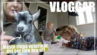 Det finns inget obekvämare!! | VLOGG