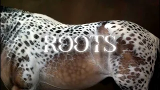 ROOTS