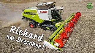 Let’s Drive Lexion 770 TerraTrac🦾 | Wie unsere Ernte lief | 7810 Diaries in UHD