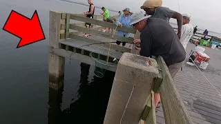 People Travel MILES to This PIER to Do THIS!