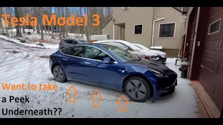 Tesla Model 3 - What the Undercarriage looks like!