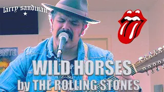 Larry Sandman - "Wild Horses" Acoustic Cover