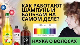 Наука о волосах: заряд волоса и ПАВЫ.Важен ли Ph в шампунях?Уксус для волос яблочный или корейский?