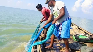 Amazing Fishing Skill - Catching Fish Big on The Sea - Net Fishing on The Sea