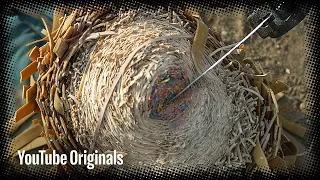 Slicing Rubber Band Ball - Bonus Clip