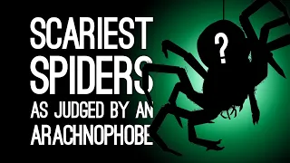 Worst Spiders In Games, Ranked By An Arachnophobe - Commenter Edition