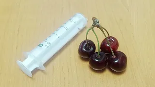 How to remove a stone from a CHERRY  QUICKLY by improvised means