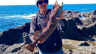 Rock Fishing The Oregon Coast, Lingcod FISHING HEAVEN!!