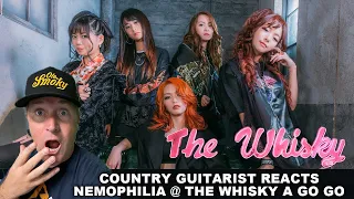 Country Guitarist Reacts to Nemophila Playing at the World Famous Whisky A Go Go