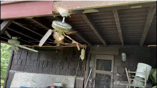 Ceiling Fan Destruction #13