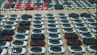 Tesla Shanghai I Changing Car Lineup I Shanghai Southport I 4K  I APRIL 01 2024