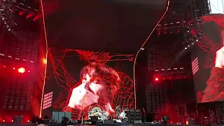 "Nobody Weird Like Me" Red Hot Chili Peppers - live in Marlay Park, Dublin, 29.06.2022